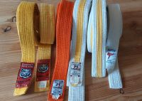 Judo Gurte weiß weiß-gelb gelb orange Danrho Karate Kaiten Niedersachsen - Cremlingen Vorschau