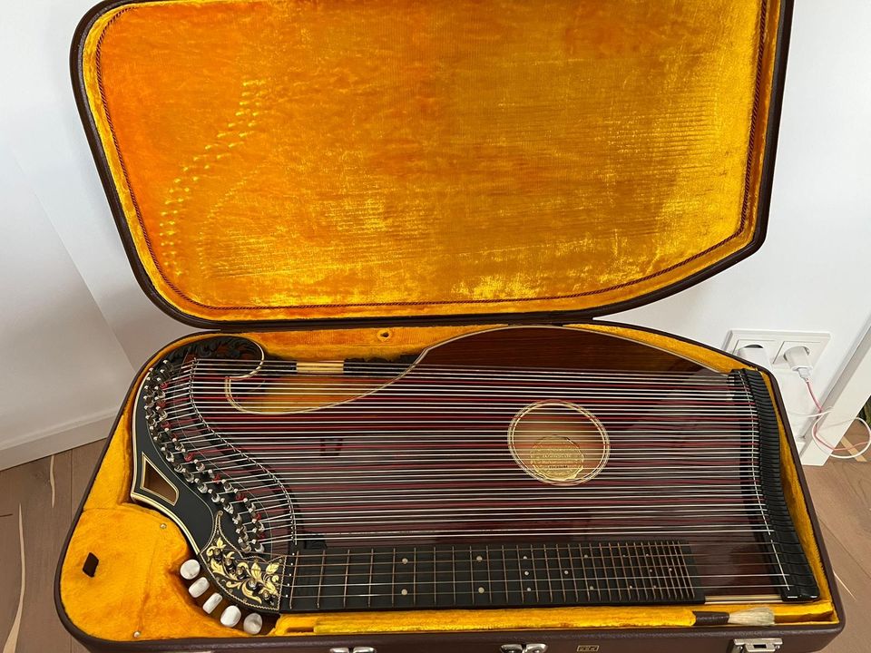 Harfenzither Künstlerinstrument von Wünsche edel mit Zubehör in München