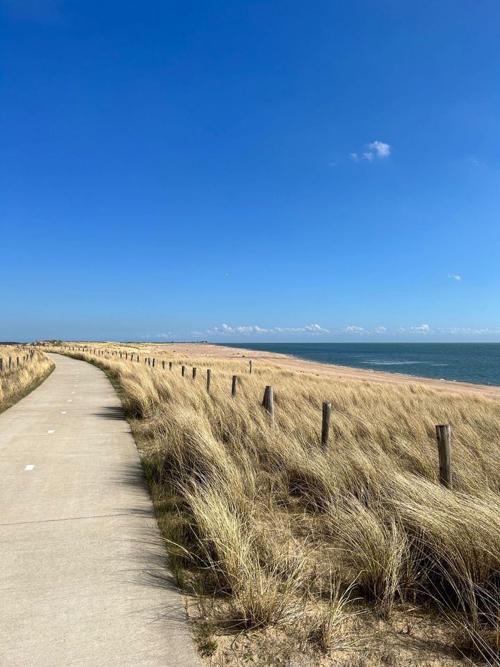 28.6-08.07/21.7-27.7/Sommerferien direkter Meerblick Nordsee Hund Holland Niederlande 1 Woche Sommerferien in Warburg