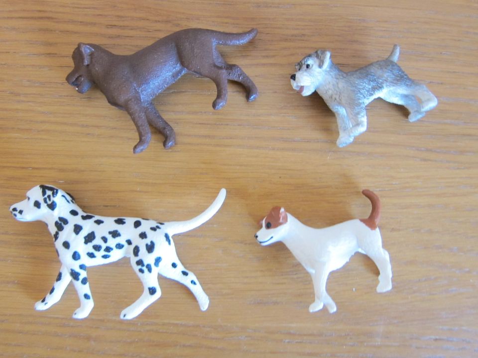 Schleich Set 41422 42478 42361Farm world Fohlen Hunde Bauernhof in Jülich