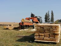 Lohnsägen mobiles Sägewerk Holzstämme Baden-Württemberg - Griesingen Vorschau