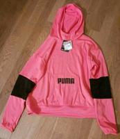 Neuer Hoodie von Puma in S, 36, DryCell Niedersachsen - Tespe Vorschau