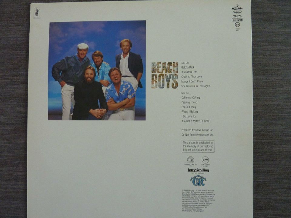 Schallplatte / Vinyl / LP - The Beach Boys - LP in Kösching