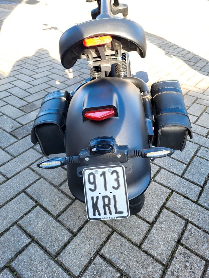 SXT Grizzy Elektro Scooter / Roller in Bad Gandersheim
