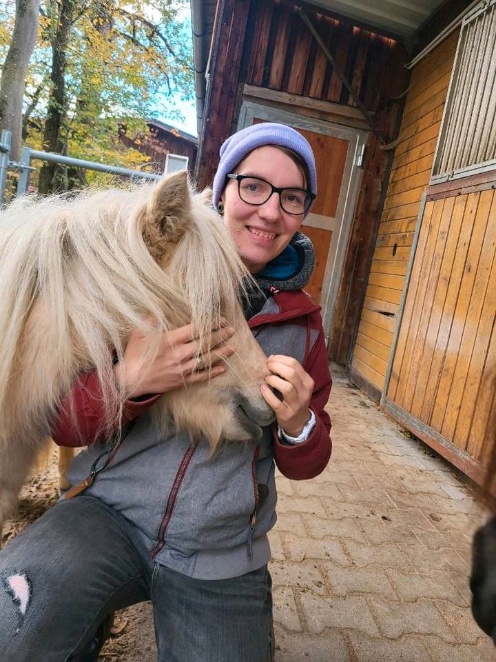 Biete Berittplätze Reitunterricht für 2024 in Pfalzgrafenweiler