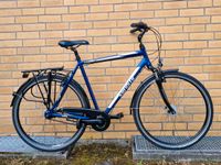 Neuwertig Kreidler Trekkingrad 28Zoll Niedersachsen - Bad Bevensen Vorschau