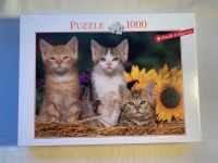 Puzzle - 1000 Teile - Katzen - NEU Baden-Württemberg - Althengstett Vorschau