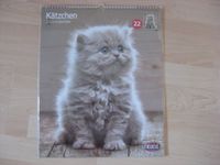 Kalender Katzen Katzenkalender 2024 Trixie 35 cm x 43 cm Kätzchen Bayern - Aindling Vorschau