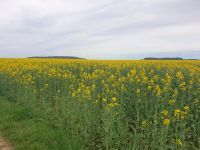 Suchen neues zu Hause Rheinland-Pfalz - Rockenhausen Vorschau