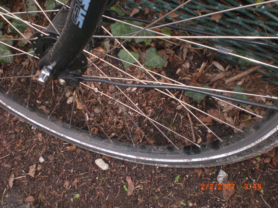 sophie,28er Damenbike in Hamburg