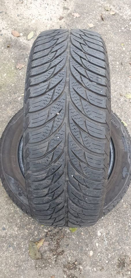 2 Stk. Allwetterreifen UNIROYAL ALLSEASONEXPERT 185/60 R15 88 T in Colditz