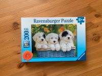 Puzzle Kuschelige Welpen Nordfriesland - Husum Vorschau