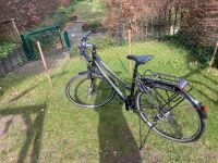 Damen Trecking Bikes Stevens Niedersachsen - Edewecht Vorschau