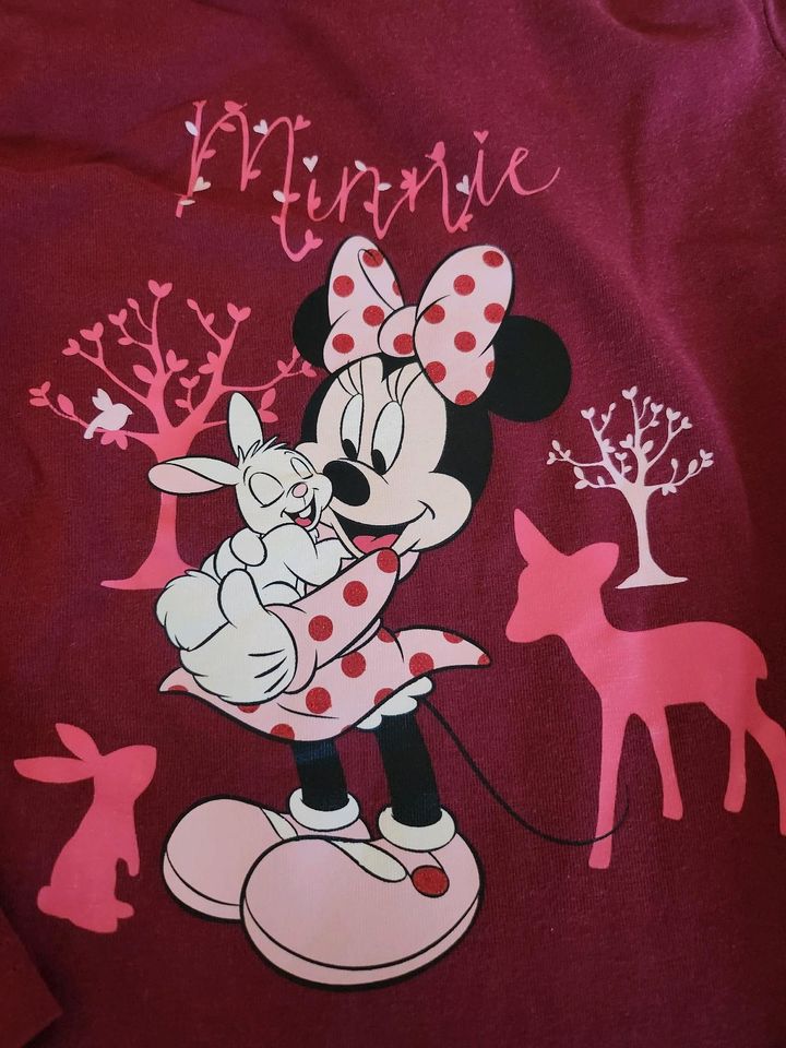 Minnie Maus Pullover Paket in Oer-Erkenschwick