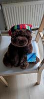 Tommy Hilfiger x GUND Bear Teddybär Brownie Niedersachsen - Loxstedt Vorschau