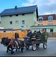 Pony Ponywagen Trainigswagen Kutsche Kremser Sachsen - Aue Vorschau