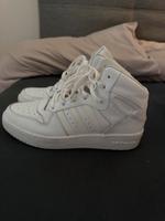 Adidas Hoops Bayern - Osterhofen Vorschau