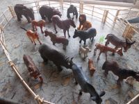 19 Zaunfelder 20 Tiere wie Wild Zootiere Haustiere Sachsen-Anhalt - Lutherstadt Wittenberg Vorschau