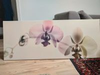 Ikea Bild  Wandbild 149x56cm Orchidee Motiv Stuttgart - Bad Cannstatt Vorschau