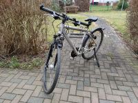 Fahrrad Raleigh 28" Sachsen - Zwickau Vorschau