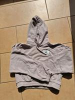 Jordan  Damen Sweatshirt Gr.XS Hessen - Flörsheim am Main Vorschau