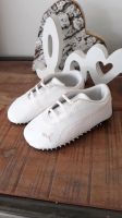 Puma Baby Krabbel Sneakers  gr.19 Rheinland-Pfalz - Otterbach Vorschau