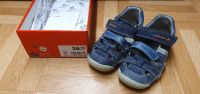 Schuhe Kinderschuhe Elefanten Kinder blau grau offen Bayern - Cham Vorschau