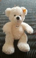 Lotte Teddybär 28cm, Steiff original, neuwertig Aachen - Laurensberg Vorschau