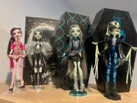 Monster High Puppen Sachsen - Mülsen Vorschau