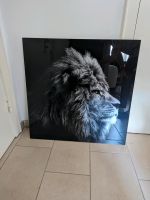 Acrylglas Wandbild "Löwe" Hamburg - Wandsbek Vorschau