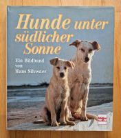 Hans Silvester "Hunde unter südlicher Sonne" Bildband Buch Baden-Württemberg - Karlsruhe Vorschau