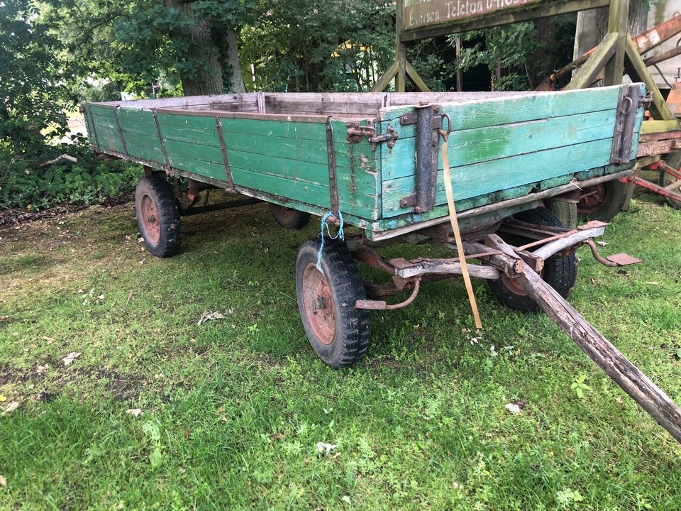 Anhänger Plattformwagen Trecker in Neu Wulmstorf