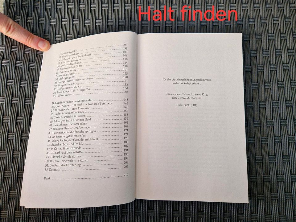 Buch Halt finden - Körper schmerzt & die Seele weint - christlich in Hövelhof