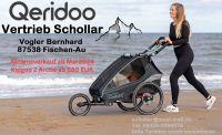 Qeridoo Kidgoo 2 Sport arctic Kinderwagen Fahrradanhänger Bayern - Fischen Vorschau