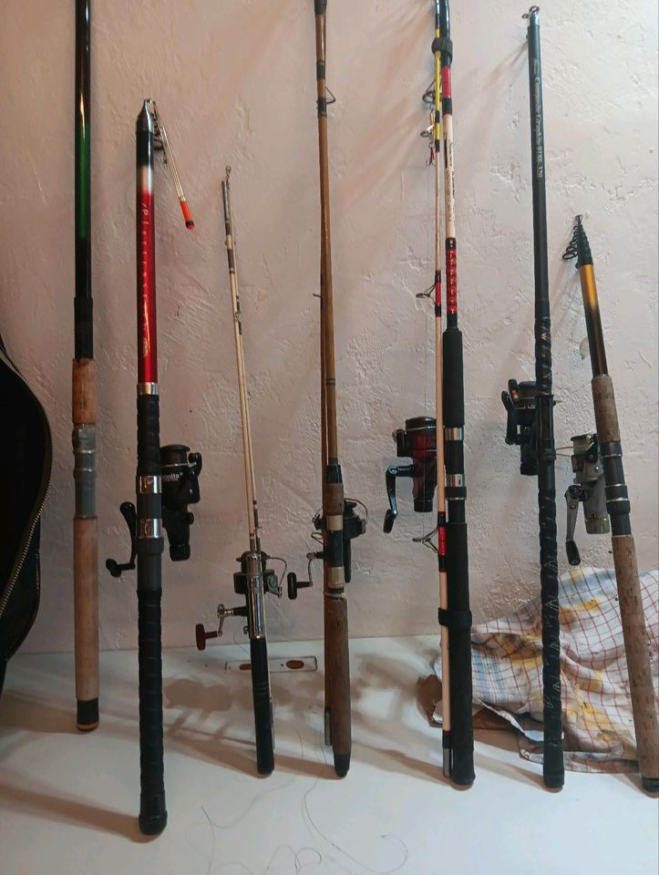 Großes angler Arsenal in Illingen