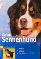 Berner Sennenhund Margit Bürner Nordrhein-Westfalen - Wermelskirchen Vorschau