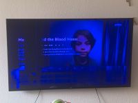LG Fernseher Smart TV 65 zoll mit Displayschaden Berlin - Reinickendorf Vorschau
