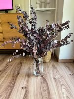 Eukalyptus Strauß mit Vase, Trockenblumen Niedersachsen - Syke Vorschau