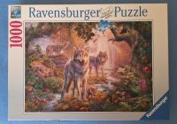 9 Puzzle 1000 Teile - Ravensburger, Schmidt, Heye, Clementoni München - Moosach Vorschau