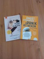 Angst und Panik - 2 Bücher im Set Rheinland-Pfalz - Ramstein-Miesenbach Vorschau