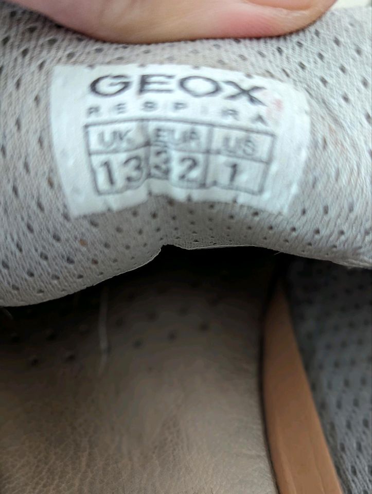 Geox Sneaker 32 Mädchen in Herten