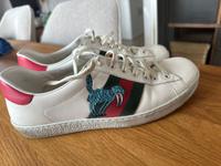 Gucci Sneaker Gr. 43 Top Zustand Bonn - Bad Godesberg Vorschau