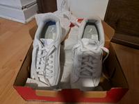 puma schuhe Wuppertal - Oberbarmen Vorschau