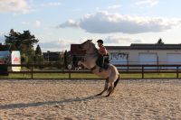 Reitunterricht/ Beritt Brandenburg - Schönwalde-Glien Vorschau