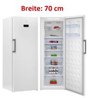 Beko RFNE 448 E35W Stand Gefrierschrank 5 Jahre Garantie  EEK:E Rheinland-Pfalz - Simmern Vorschau