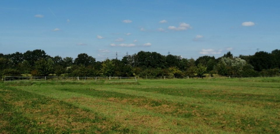 Offenstall Weide in Norderstedt Friedrichsgabe an Selbstversorger in Norderstedt