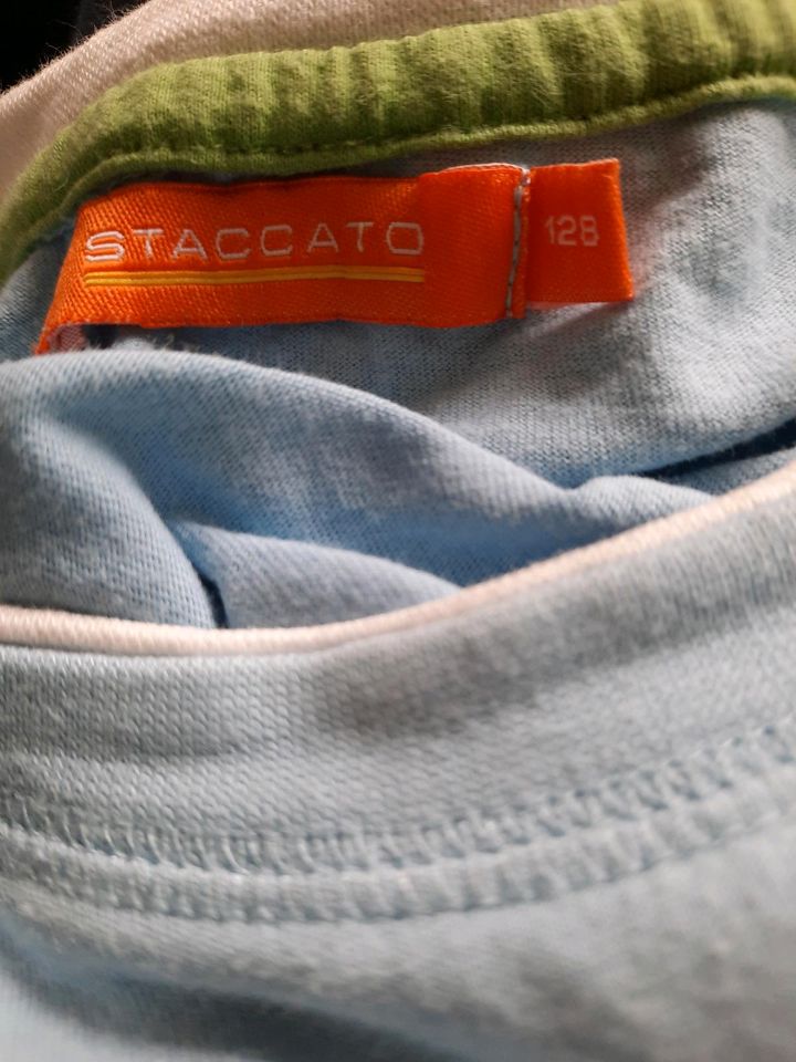 Staccato Gr.128 Langarmshirt Pulli hellblau Jungs in Aßlar