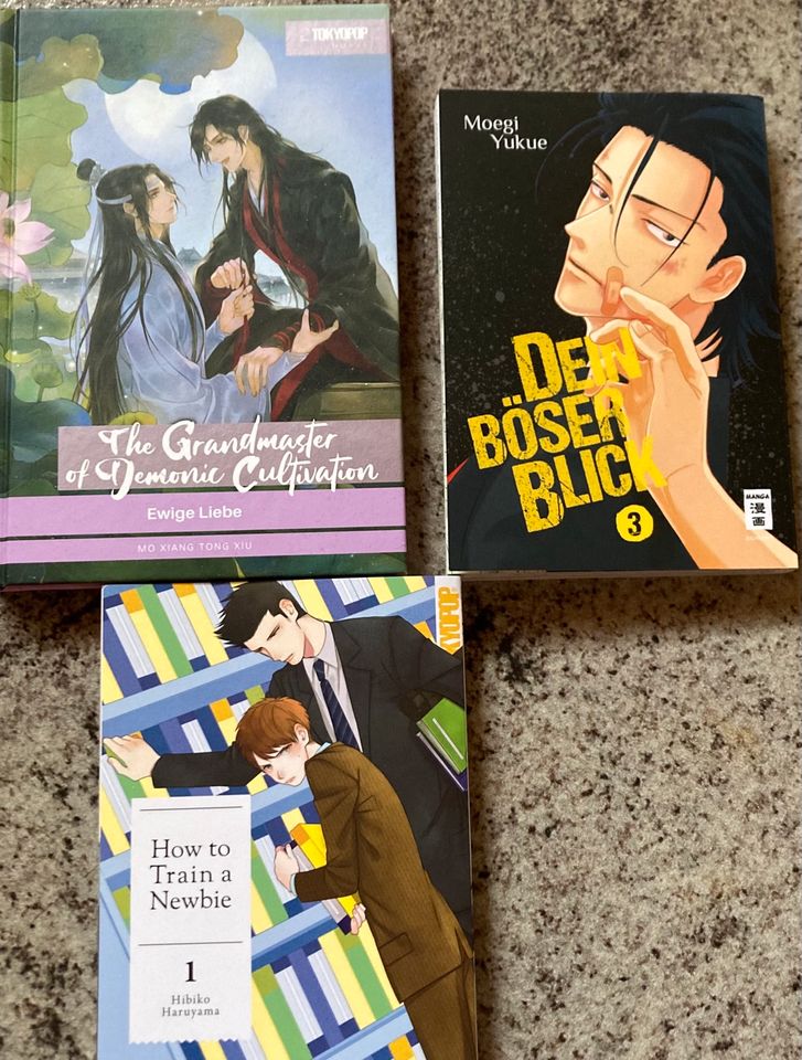 Boys Love yaoi Manga Novel Grandmaster Newbie böser Blick in Ingolstadt