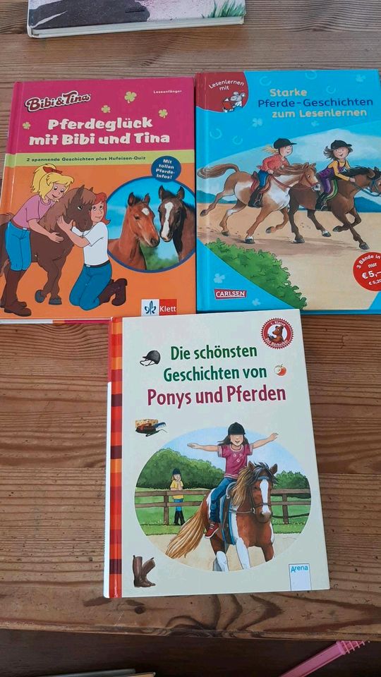 Kinderbücher Ben und Lena, Tiptoi Dinosaurier, Pferde geschichten in Kieselbronn