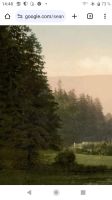 Nähe Gotha Wald 14300 m2 sehr guenstig Thüringen - Suhl Vorschau